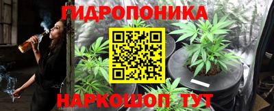 стаф Гусь-Хрустальный