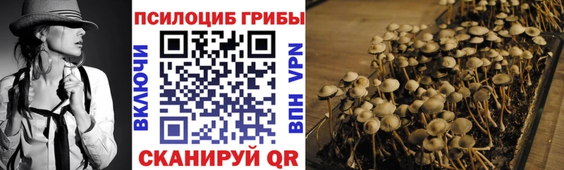 Псилоцибиновые грибы Psilocybine cubensis  где купить наркоту  Зима 