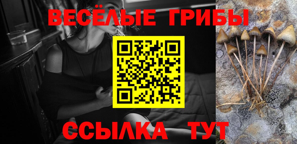 Псилоцибиновые грибы прущие грибы Зима