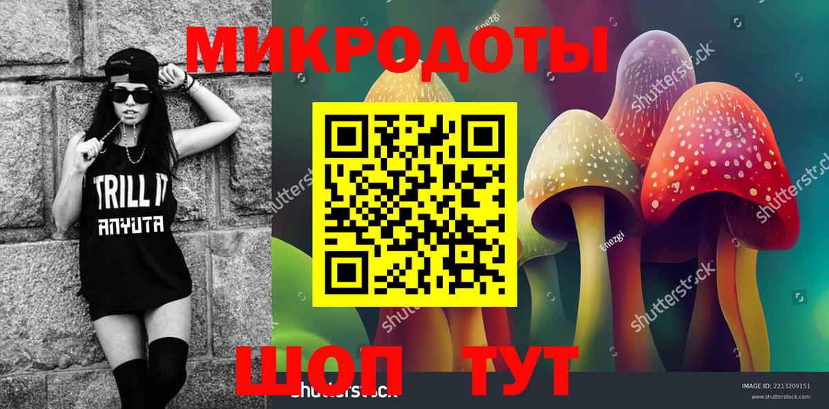Галлюциногенные грибы мухоморы  Зима  Галлюциногенные грибы Cubensis 