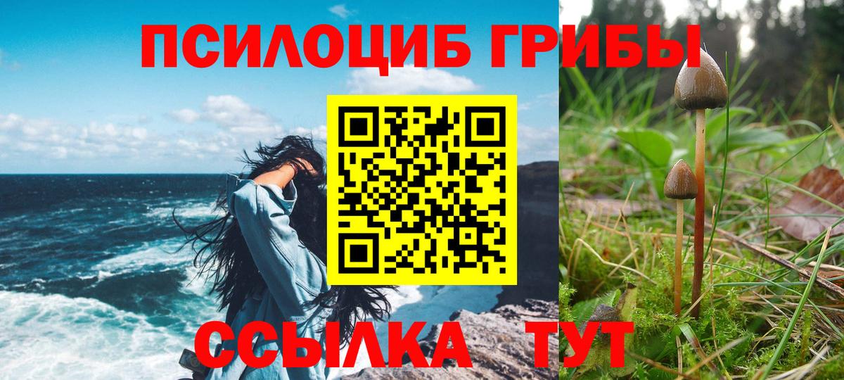 Галлюциногенные грибы прущие грибы  Галлюциногенные грибы Psilocybe  Зима  Вход с VPN 