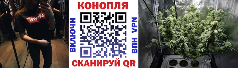 Бошки марихуана SATIVA & INDICA  Зима 